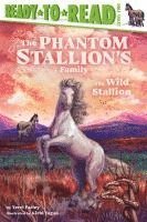 bokomslag The Wild Stallion: Ready-To-Read Level 2