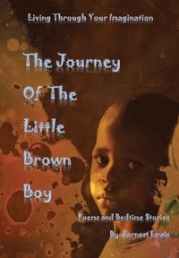 bokomslag The Journey of The Little Brown Boy