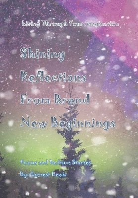 bokomslag Shining Reflections From Brand New Beginnings