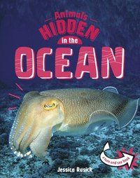 bokomslag Animals Hidden in the Ocean