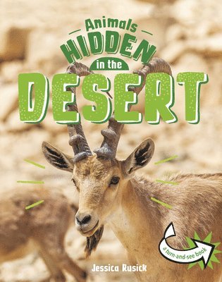 Animals Hidden in the Desert 1