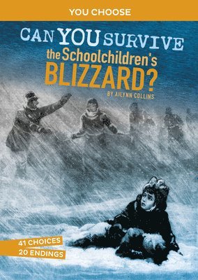 Ailynn Collins - Can You Survive the Schoolchildren's Blizzard?: An Interactive History Adventure, Häftad