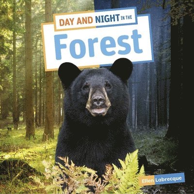 Day and Night in the Forest