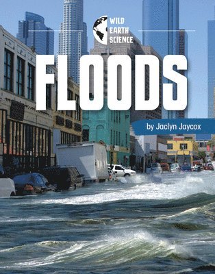 Rachel Werner - Floods, Häftad