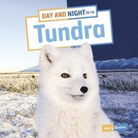 bokomslag Day and Night on the Tundra
