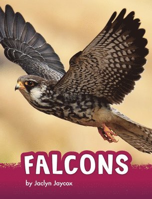 Jaclyn Jaycox - Falcons, Inbunden