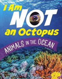 bokomslag I Am Not an Octopus: Animals in the Ocean