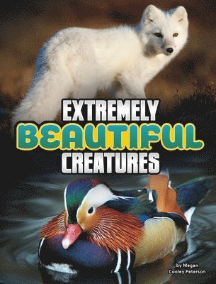 Extremely Beautiful Creatures 1