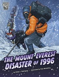 bokomslag The Mount Everest Disaster of 1996