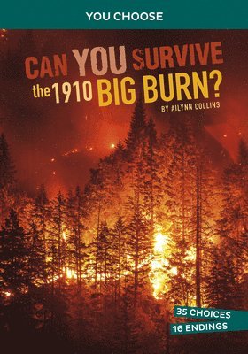 Ailynn Collins - Can You Survive the 1910 Big Burn?: An Interactive History Adventure, Inbunden