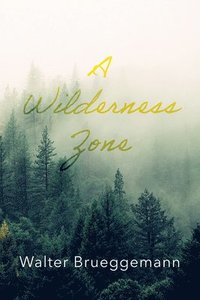 bokomslag Wilderness Zone
