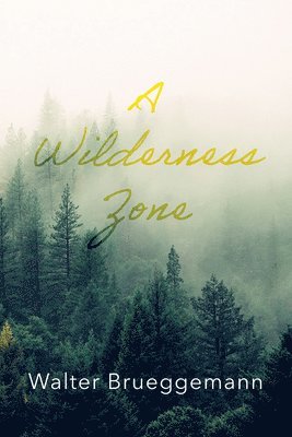 bokomslag Wilderness Zone