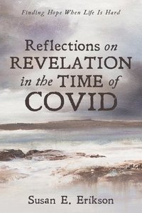 bokomslag Reflections on Revelation in the Time of COVID