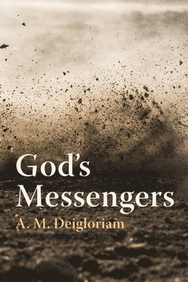 bokomslag God's Messengers