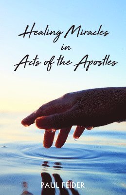 bokomslag Healing Miracles in Acts of the Apostles