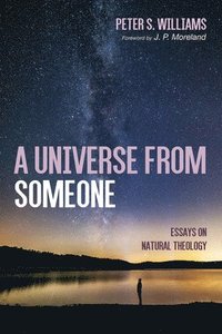 bokomslag A Universe from Someone19: Essays on Natural Theology