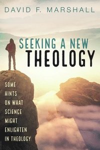 bokomslag Seeking a New Theology