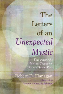 bokomslag The Letters of an Unexpected Mystic