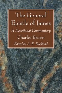 bokomslag The General Epistle of James