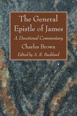 bokomslag The General Epistle of James