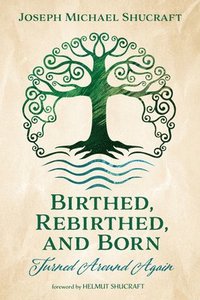 bokomslag Birthed, Rebirthed, and Born: Turned Around Again