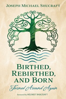 bokomslag Birthed, Rebirthed, and Born: Turned Around Again