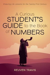 bokomslag A Curious Student's Guide to the Book of Numbers