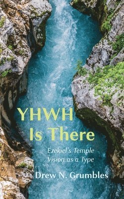 bokomslag YHWH Is There