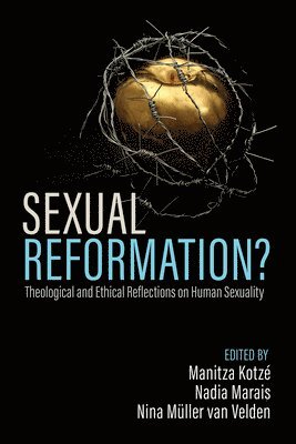 bokomslag Sexual Reformation?: Theological and Ethical Reflections on Human Sexuality