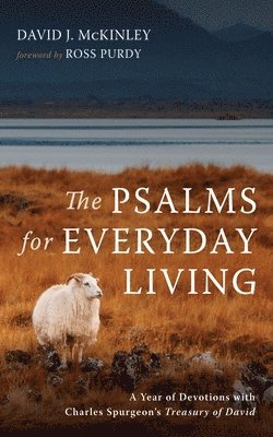bokomslag Psalms for Everyday Living