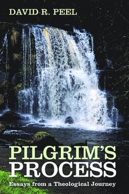 Pilgrim's Process 1