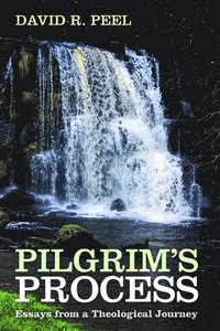 bokomslag Pilgrim's Process