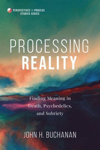 bokomslag Processing Reality