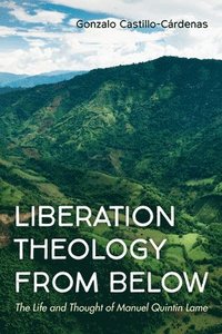 bokomslag Liberation Theology from Below