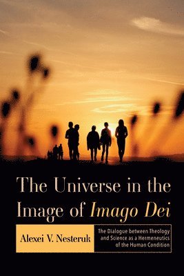 Alexei V Nesteruk - Universe in the Image of Imago Dei, Häftad