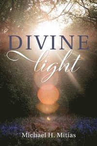 bokomslag Divine Light