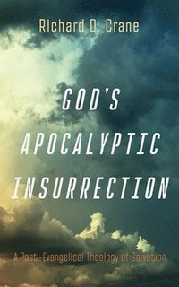 bokomslag God's Apocalyptic Insurrection