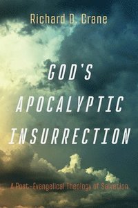 bokomslag God's Apocalyptic Insurrection: A Post-Evangelical Theology of Salvation