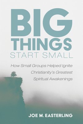 bokomslag Big Things Start Small