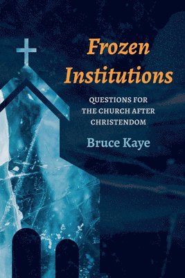 Bruce N Kaye - Frozen Institutions, Häftad