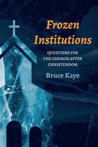 bokomslag Frozen Institutions