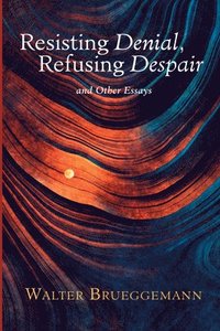 bokomslag Resisting Denial, Refusing Despair