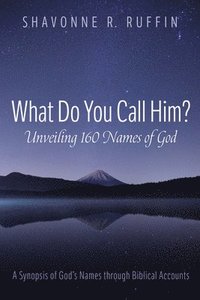 bokomslag What Do You Call Him? Unveiling 160 Names of God