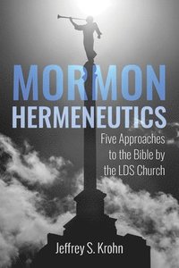 bokomslag Mormon Hermeneutics