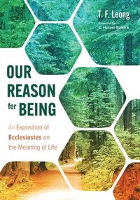 bokomslag Our Reason for Being: An Exposition of Ecclesiastes on the Meaning of Life