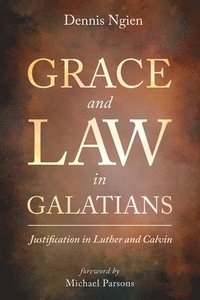 bokomslag Grace and Law in Galatians