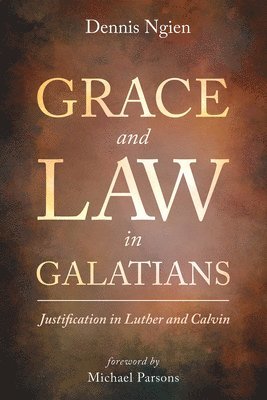 bokomslag Grace and Law in Galatians