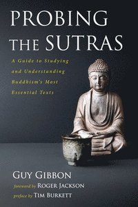 bokomslag Probing the Sutras