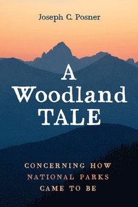 bokomslag Woodland Tale