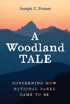 bokomslag Woodland Tale